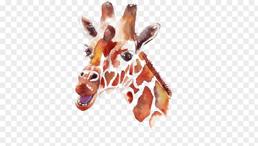 Deer Watercolor Painting Drawing Northern Giraffe PNG