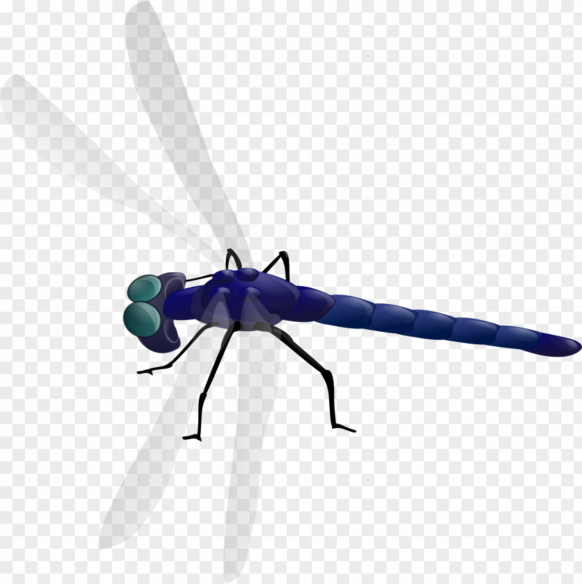 Dragonfly Insect Clip Art PNG