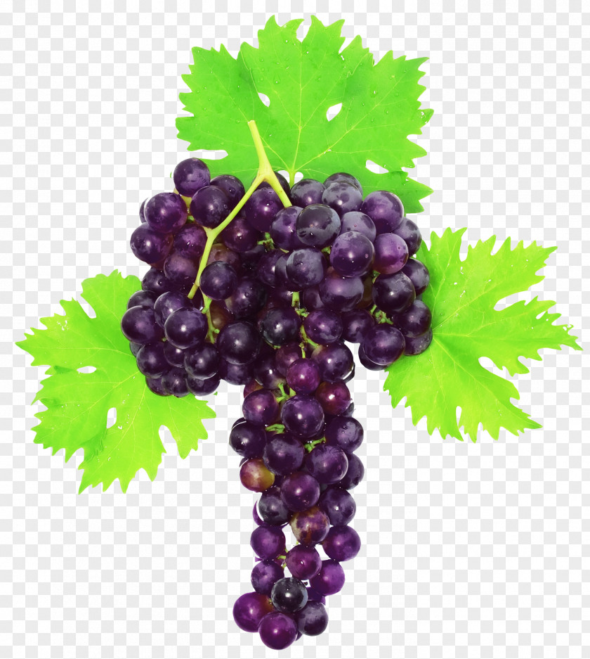 Grape Muscat White Photography PNG