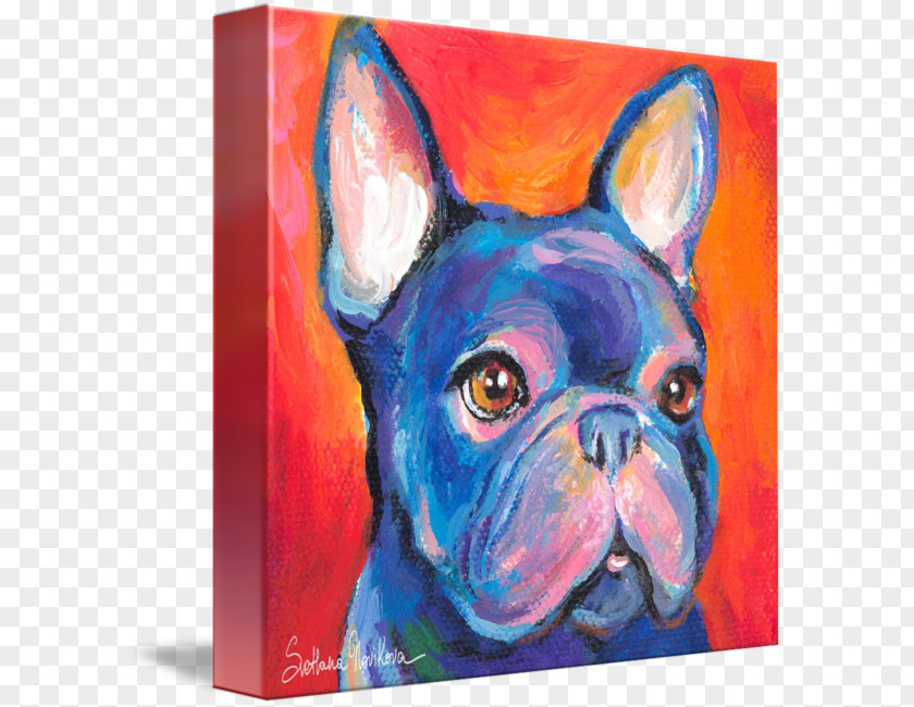 Painting French Bulldog Boston Terrier Dog Breed PNG