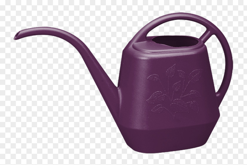 Passion Fruits Watering Cans Flowerpot Gardening Handle PNG