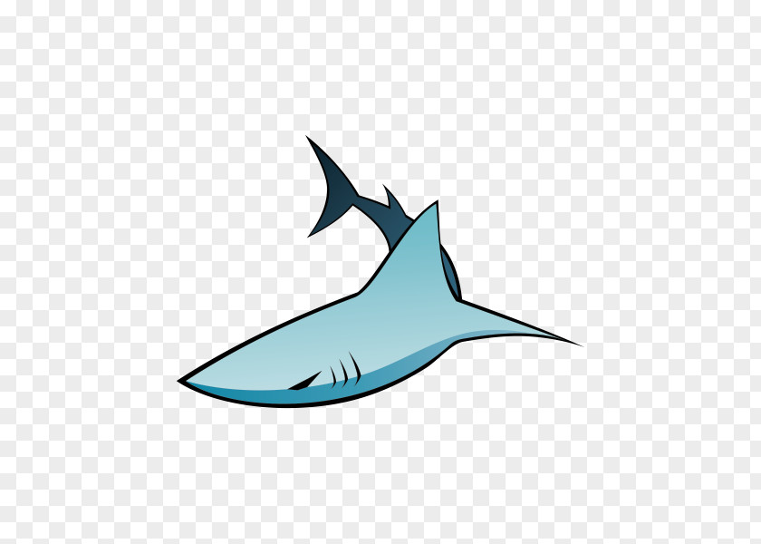 Shark Requiem Fish Animal Clip Art PNG