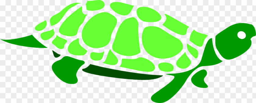Green Turtle Cliparts Sea Clip Art PNG