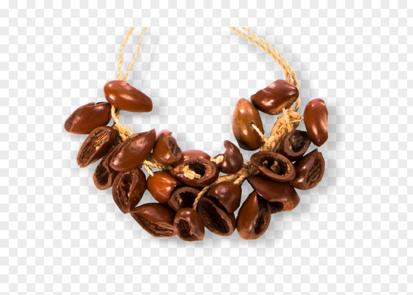 Jewellery Bead Kola Nut PNG