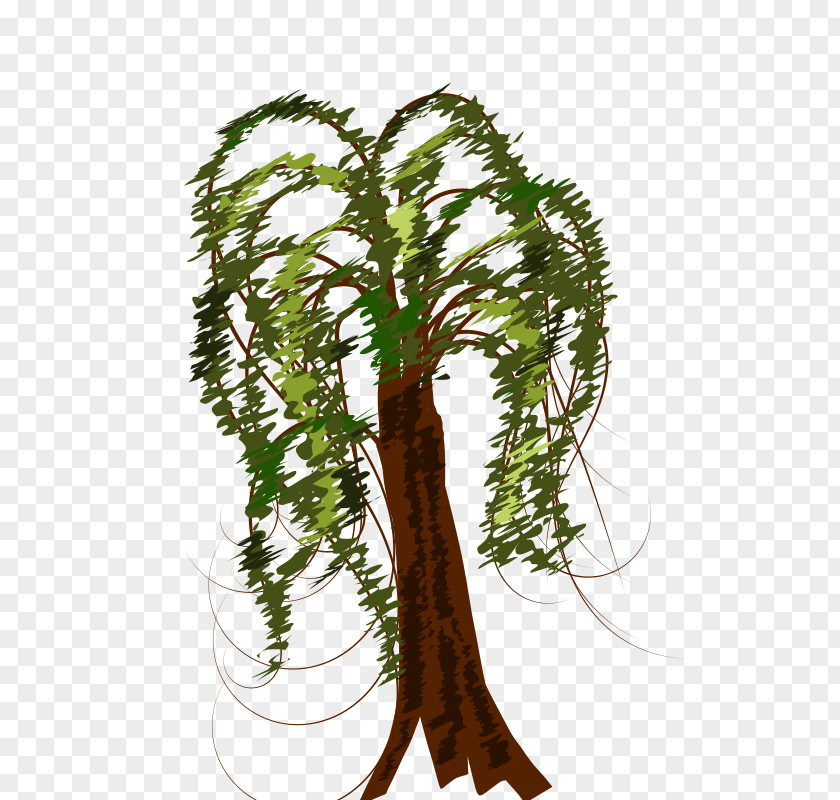 Tree Weeping Willow Twig Clip Art PNG