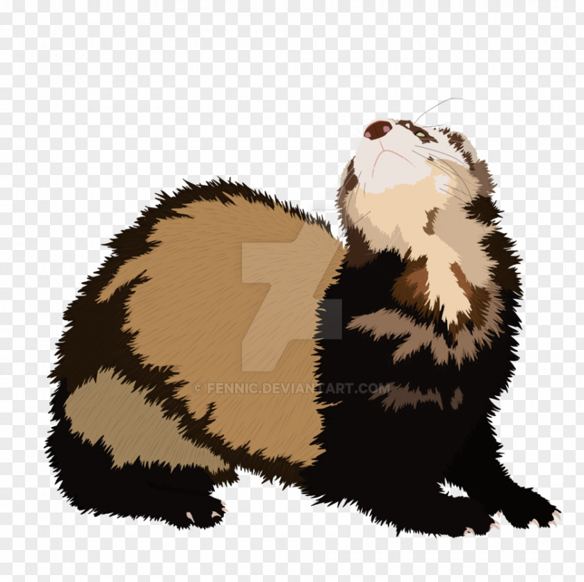 Ferret Black-footed Mink Cat Otter PNG