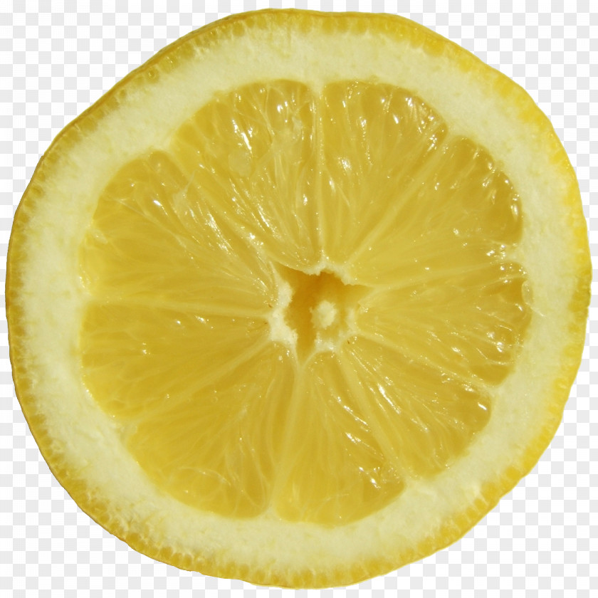 Lemon Sweet Rangpur Citron Lime PNG