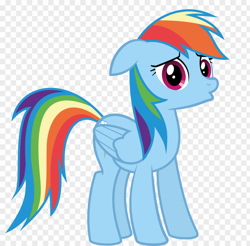 Rainbow Dash My Little Pony: Friendship Is Magic Fandom PNG