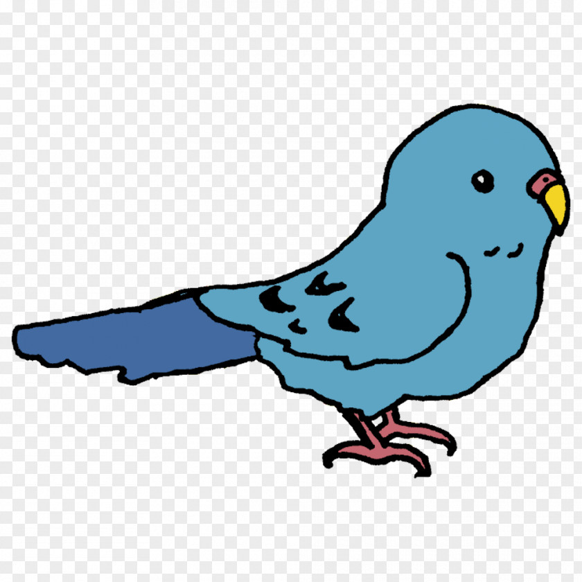 Feather PNG