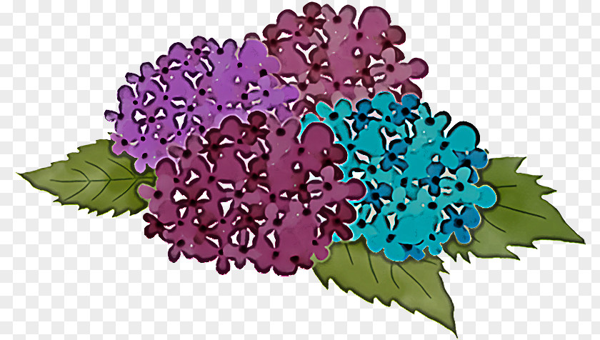 Floral Design PNG