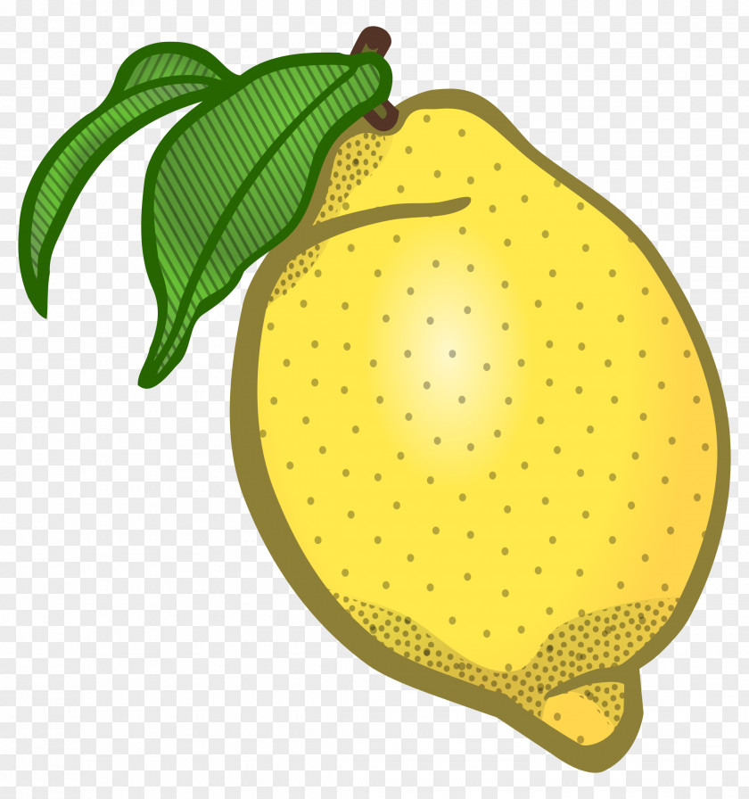 Fruits Auglis Clip Art PNG