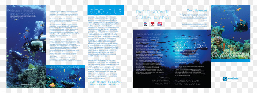 Modern Brochure Graphic Design Advertising Organism Desktop Wallpaper Computer PNG