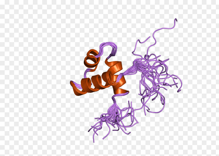 MYBL2 Organism Gene Font PNG