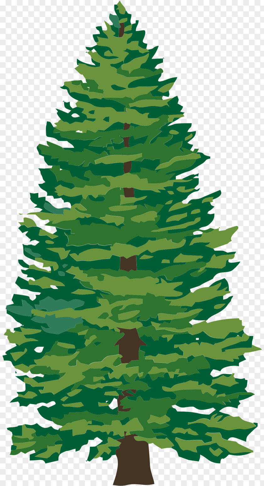 Norway Collage Spruce Tree Christmas Stump Day PNG