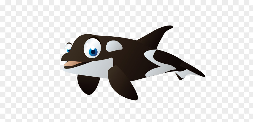 Shark Cartoon Dolphin Illustration PNG