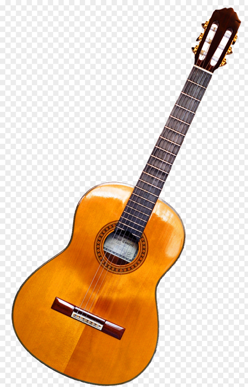Acoustic Guitar Picture Twelve-string Ukulele Musical Instrument PNG