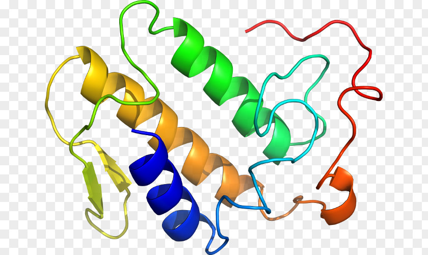 Agkistrodon Clip Art Organism Product Biochemistry Line PNG