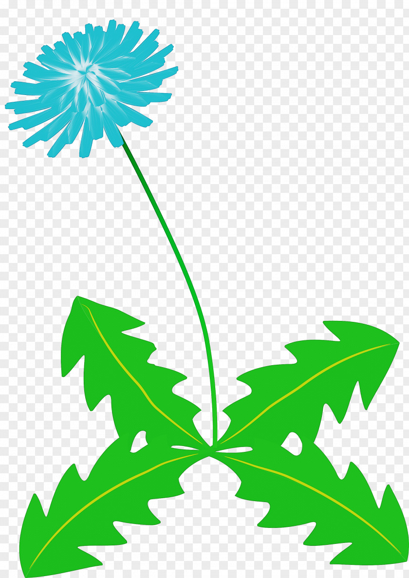 Dandelion Flower PNG