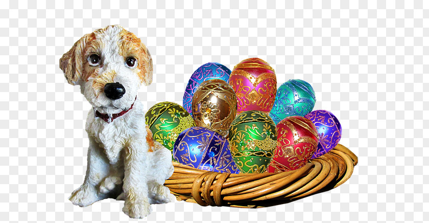 Easter Dog Coloring Bunny Egg Basket Hunt PNG