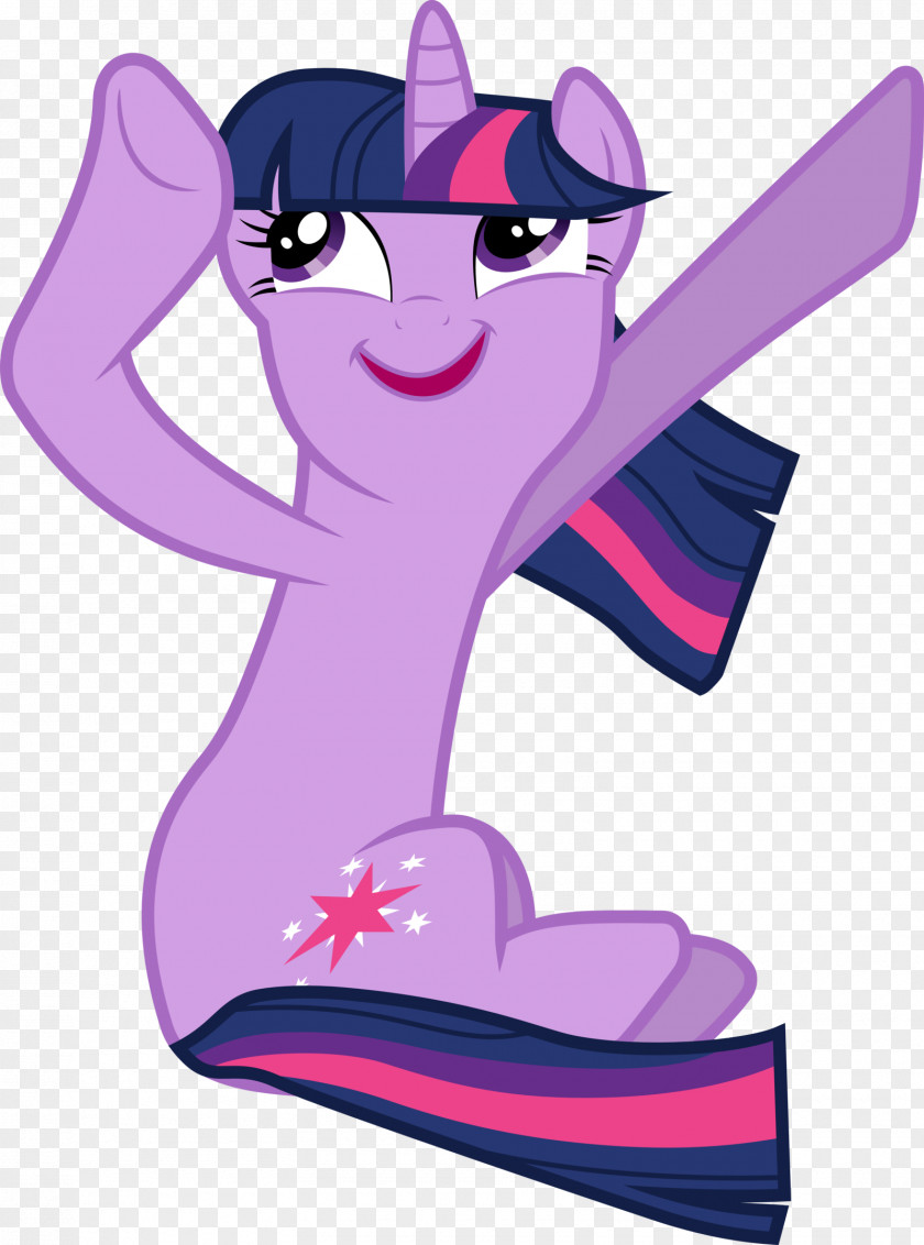 Grainy Twilight Sparkle Rarity Rainbow Dash Pinkie Pie Applejack PNG