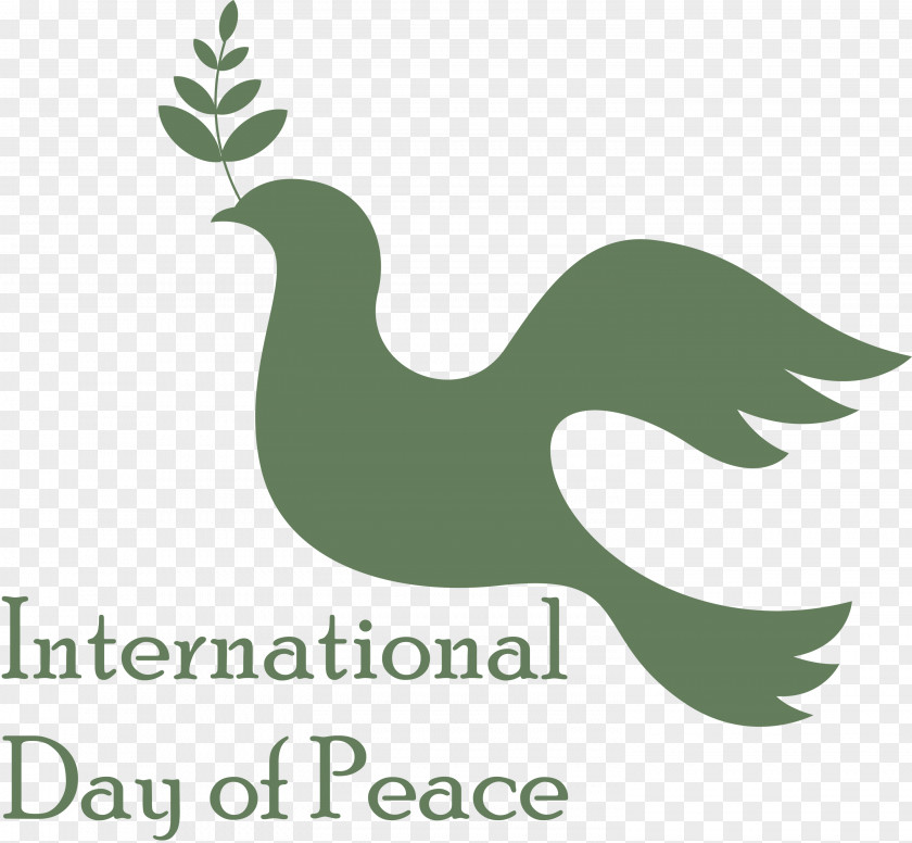 International Day Of Peace World PNG