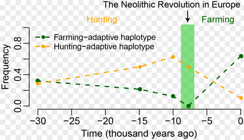 Neolithic Europe Revolution Genetics PNG