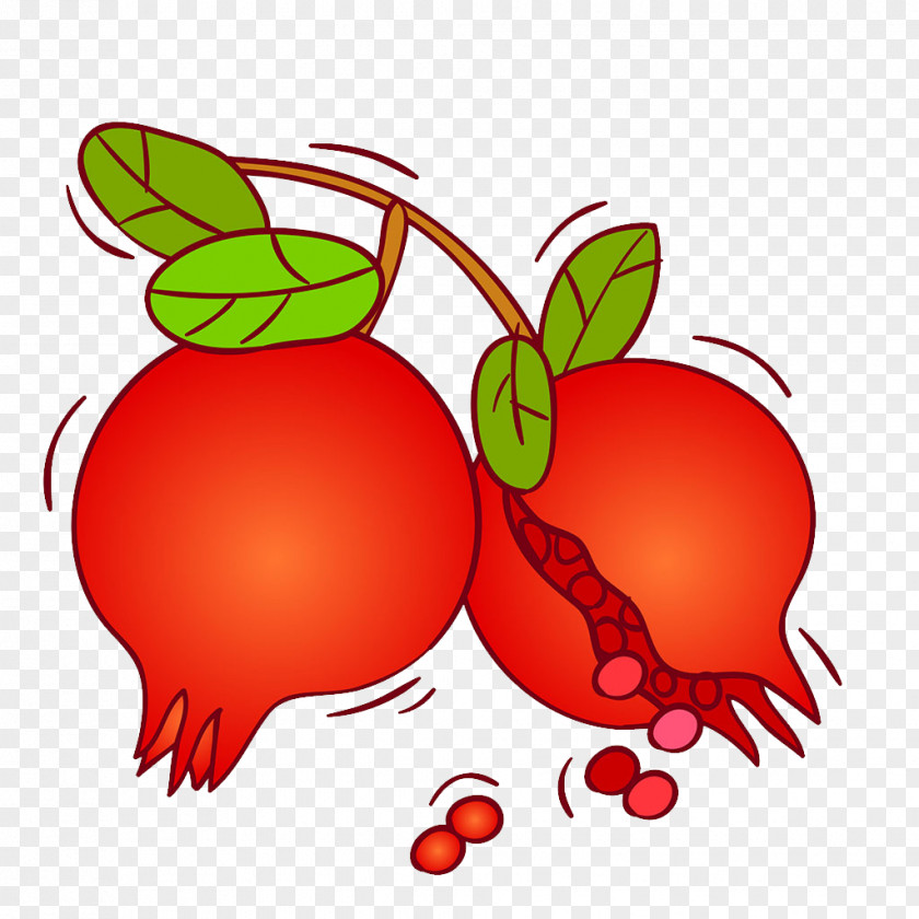 Pomegranate Fruit PNG