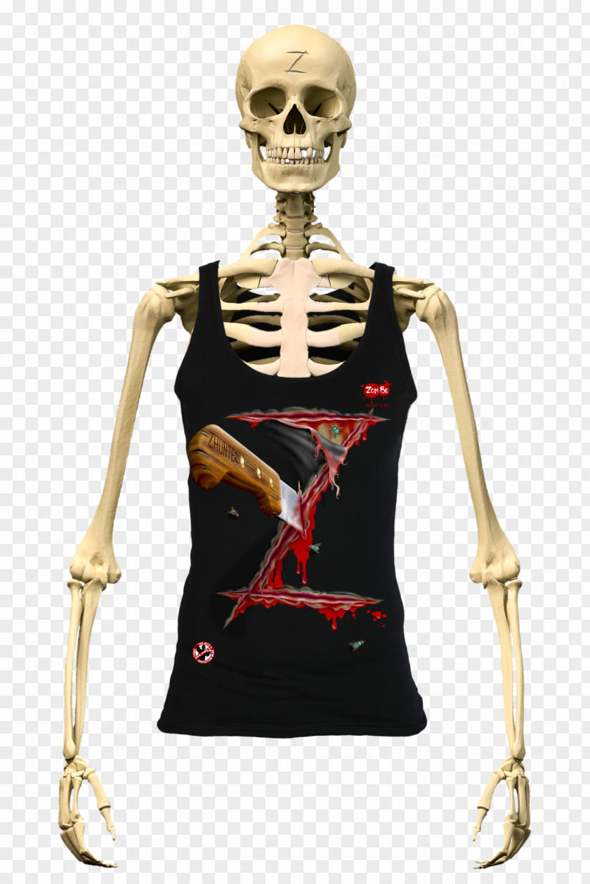 Skeleton Human Body Bone Anatomy PNG