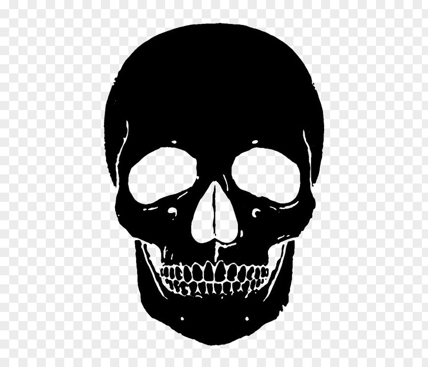 Skull Fashion Alexander McQueen Stencil Designer PNG