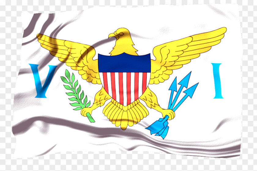 Us Virgin Islands Flag Of The United States America British PNG