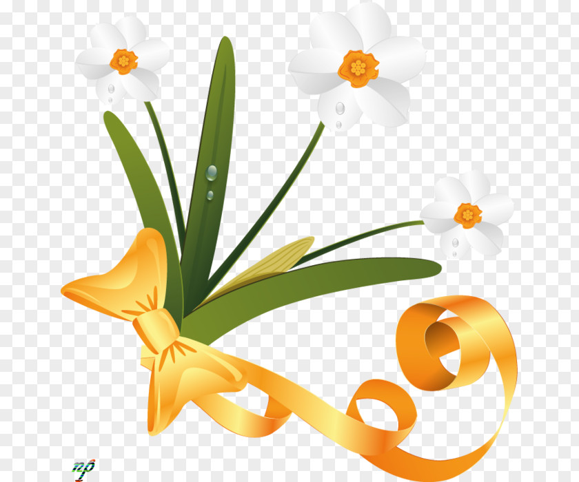 Flower Floral Design Cut Flowers PNG