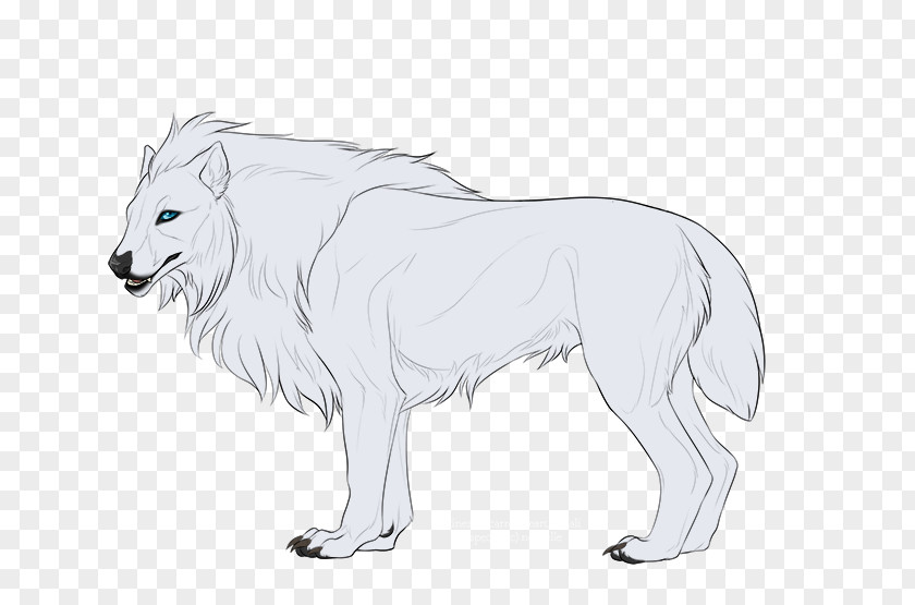 Lion Gray Wolf DeviantArt Sketch PNG