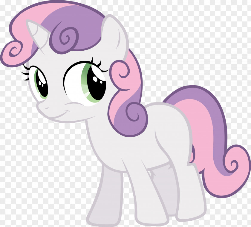 My Little Pony Sweetie Belle Rarity Rainbow Dash Twilight Sparkle PNG