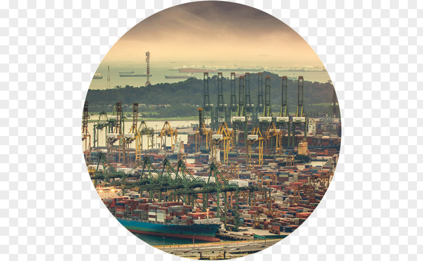 Business Singapore Supply Chain Industry Investment PNG