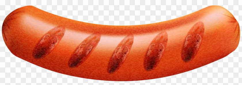 Grilled Mett Sausage Hot Dog Ham Clip Art PNG