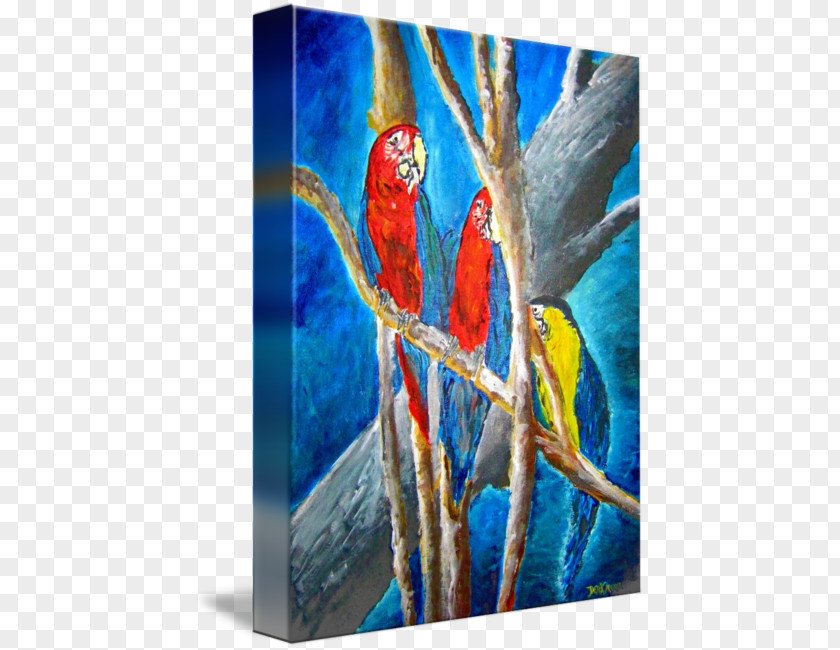 Tropical Watercolor Macaw Parrot Acrylic Paint Painting Parakeet PNG