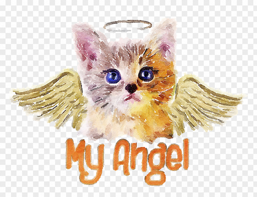 Angel Kitten Cat T-shirt Puppy Dog PNG