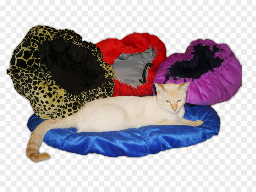 Cat Dog Clothes Stuffed Animals & Cuddly Toys Plush PNG