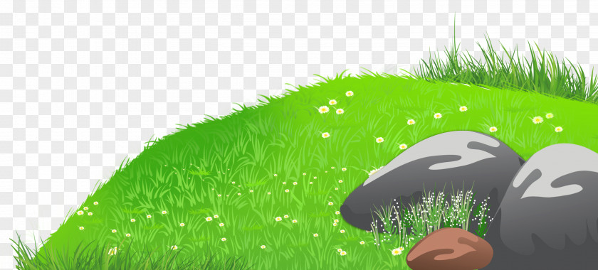 Grass With Stones And Daisies Clipart Picture Clip Art PNG