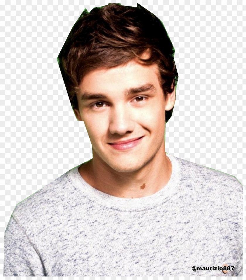 Hayden Panettiere Liam Payne Wolverhampton The X Factor One Direction Up All Night PNG