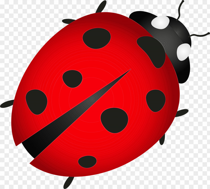 Ladybird Beetle Beetles Drawing Cartoon Marinette Dupain-cheng PNG