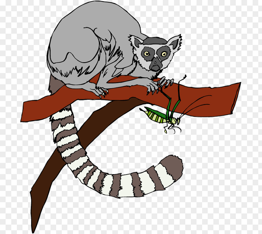 Lemur Cliparts Ring-tailed Primate Clip Art PNG