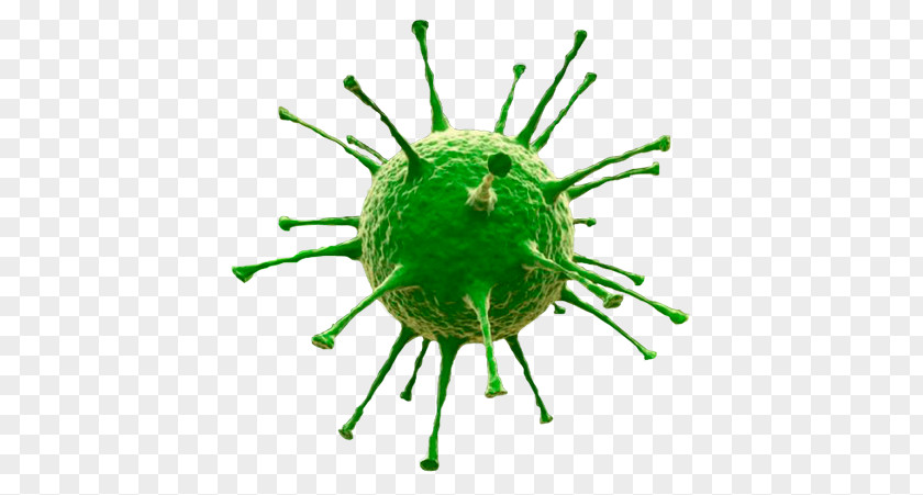 Marburg Virus Bacteria Pathogen Computer PNG