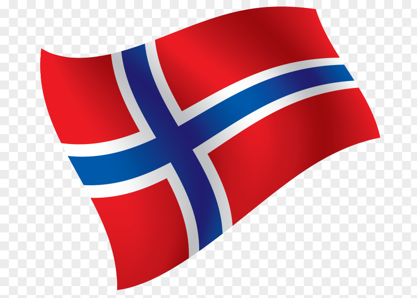 Nordic Institute Of Dental Materials Norway Polymer Inlays And Onlays PNG