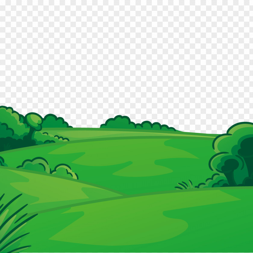 Vector Green Grass PNG