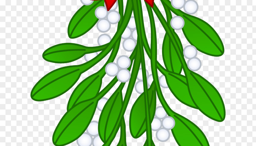 Birdonbranchvector Mistletoe Drawing Clip Art Christmas Day Image PNG