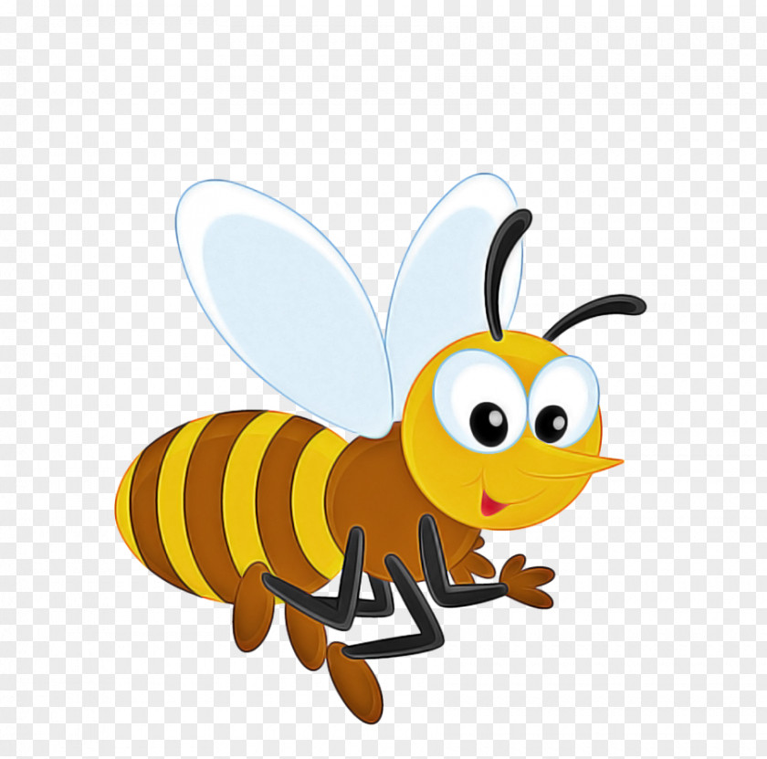 Fly Pollinator Bumblebee PNG