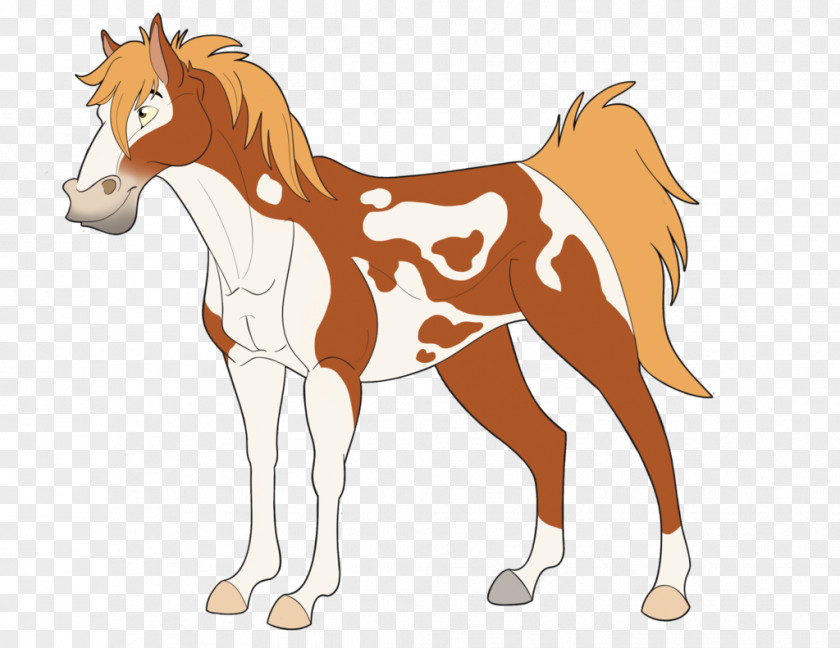 Mustang Foal Colt Stallion Mane PNG