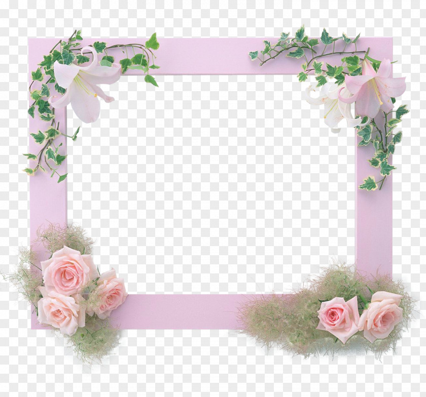 PHOTO FRAMES Picture Frames Photography Paper PNG
