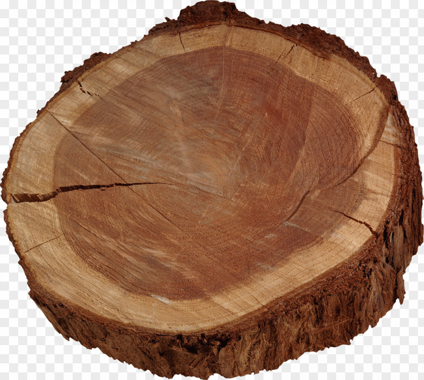 Tree Trunk Lumber PNG